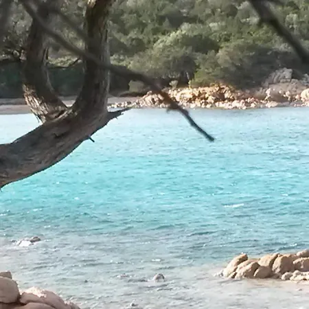 Bilocale La Banchina Fronte Mare *