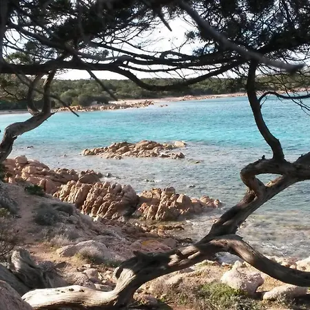 Bilocale La Banchina Fronte Mare