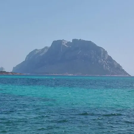 Lägenhet Bilocale La Banchina Fronte Mare Cannigione